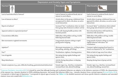 Evaluating depression- and anxiety-like behaviors in non-human primates